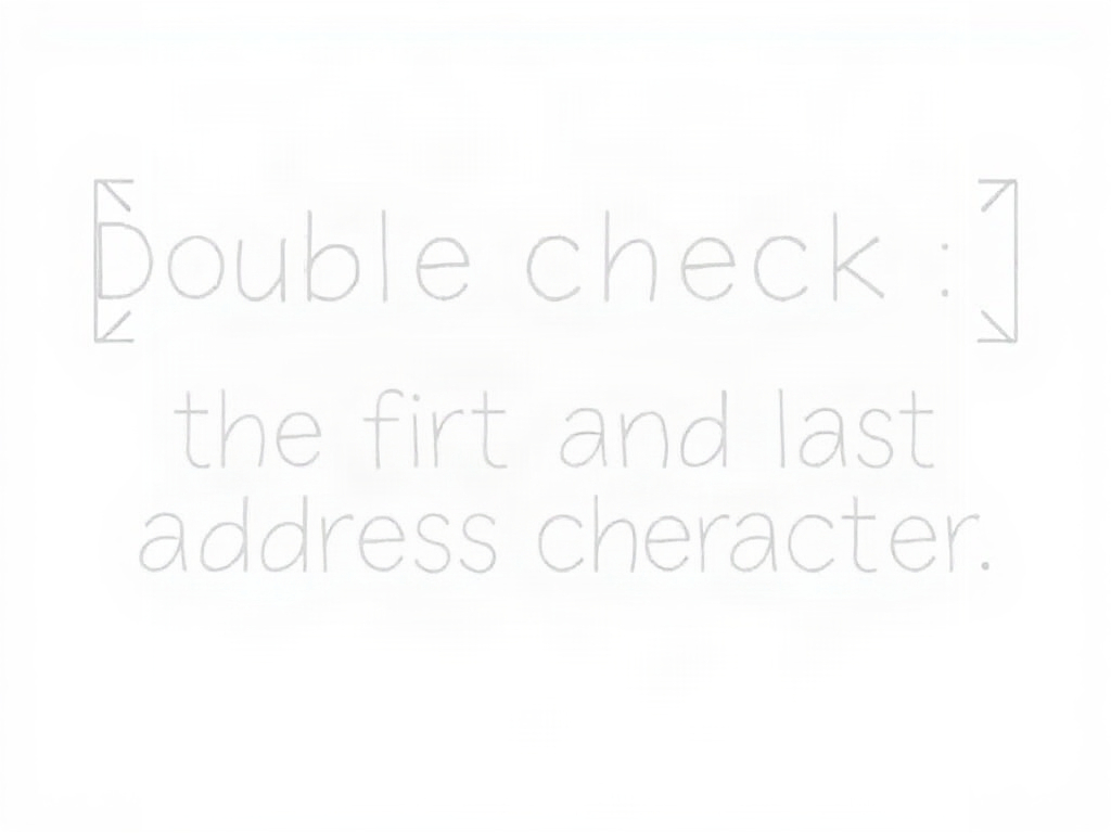 How to double-check the first and last address characters for btcmixer_en2 Security